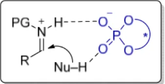 Figure 2.19. Hydrogen bonds between iminium ion and chiral phosphate anion. 
