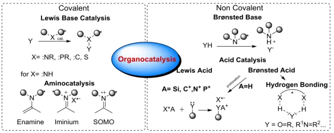 Figure  2.2:  Classification  of  modern  organocatalysis  sorted  by  the  activation  of  the  electrophile  or  nucleophile