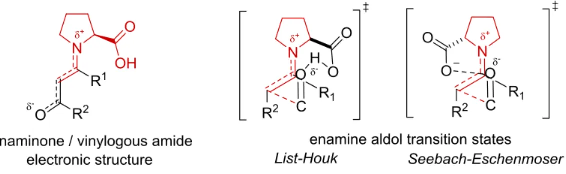Figure 2.5: Potential relationship between enaminones and the enamine aldol transition state models 
