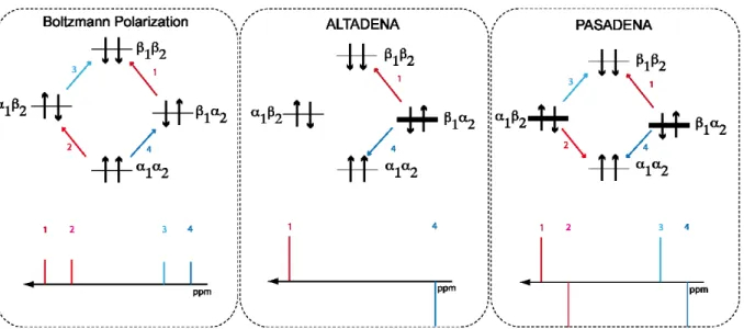 Figure 2.7: Energy diagrams of AB spin systems with different polarization and the resulting NMR spectra  (left:  Boltzmann  polarization,  middle:  ALTADENA,  right:  PASADENA)