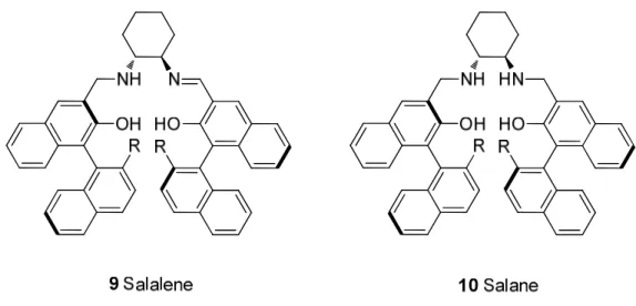 Abbildung  2.4.  Beispiele  für  Liganden  mit  frei  drehbarer  Biarylachse,  die  durch  ein  chirales  Strukturelement  ausgerichtet  wird  (Die  Systeme  15-17  wurden  in  der  voraufgegangenen  Diplomarbeit entwickelt