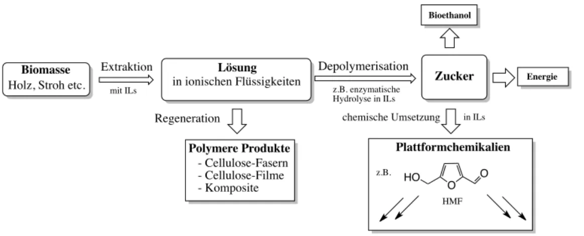 Abbildung 2.1: Schematische Darstellung der Verwertung von Biomasse mit Hilfe von ionischen Flüssigkeiten.