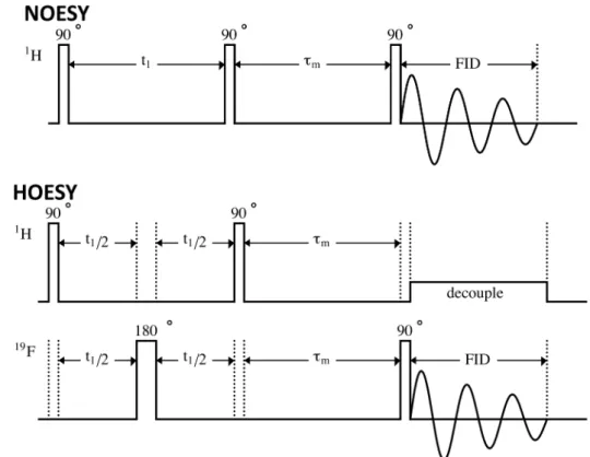 Abbildung 3.19: Pulsfolge eines NOESY- (oben) und eines HOESY-Eperiments (unten).