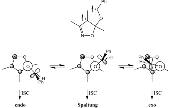 Abb. 3.25: Biradikalkonformere bei der Reaktion von Isoxazol 4e mit Benzaldehyd 