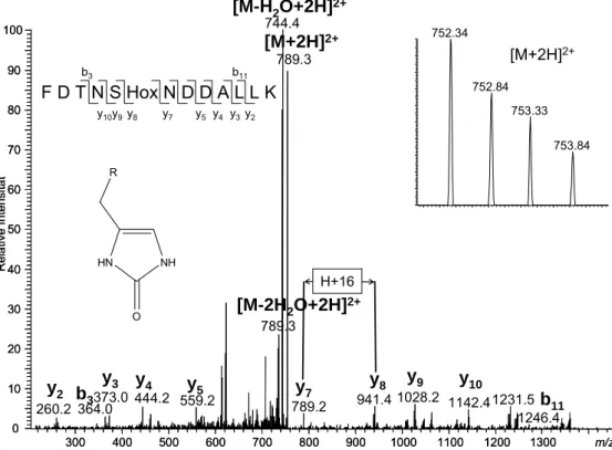 Abb. 33  MS/MS-Spektrum des Peptids 146-158, der Histidin-Rest 151 ist oxidiert zu 2-oxo-Histidin.