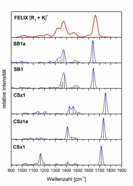 Abbildung  41.  Photodissoziations-Spektrum  des  Komplexes  [R 1  + K] +   verglichen  mit  den  berechneten IR-Spektren von fünf energetisch relevanten Konformeren