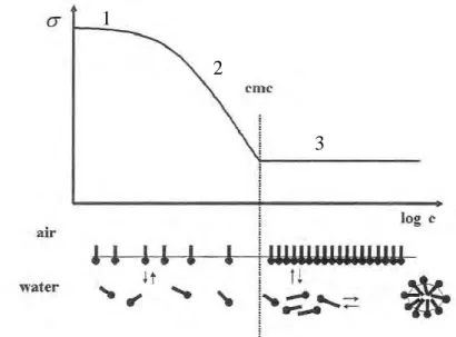 Fig. 2.8. Schematic drawing of the concentration dependence of the surface tension. 