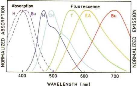Figure 7: Emission spectra of DNS in H, hexane; CH, cyclohexane; T, toluene; EA, ethyl  acetate; Bu, n-butanol  [6]