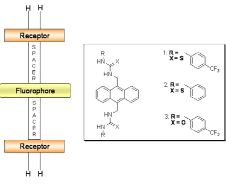 Figure 29: The receptor-spacer-fluorophore-spacer-receptor model used and the  corresponding sensor 18  ( 1-3)