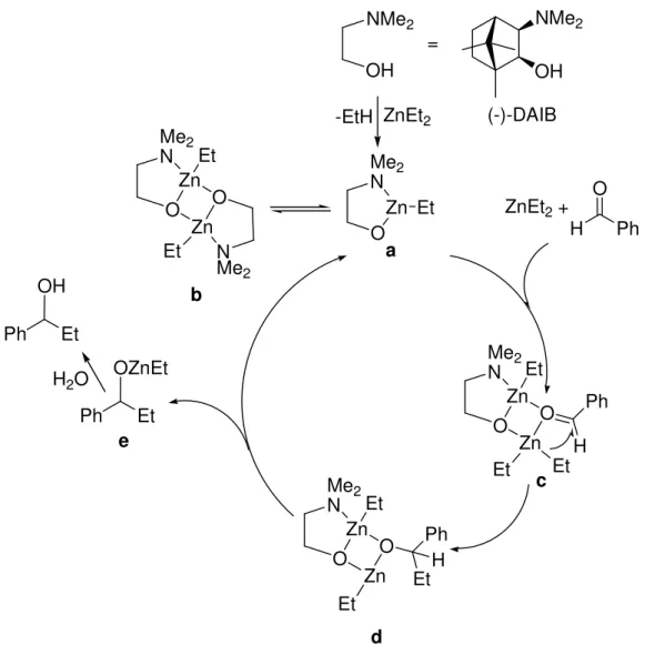 Abbildung 13: Postulierter Mechanismus der durch (-)-DAIB katalysierten Alkylierung von  Benzaldehyd basiert auf experimentellen und theoretischen Ergebnissen