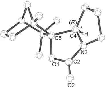Abbildung 34: Optimierte Struktur von (2R)-N-Fenchylcarbamat mit der  B3LYP/6-31G*-Methode