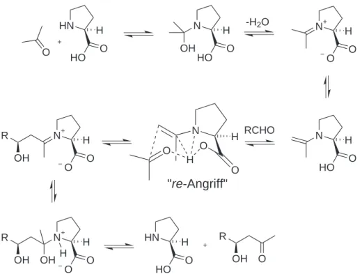 Abbildung 3.16: Von List vorgeschlagener Mechanismus der organokatalytischen direk- direk-ten Aldolreaktion [74].