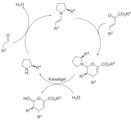 Abbildung 3.19: Katalysezyklus der Hetero-Diels-Alder-Reaktion nach Jrgensen [2].
