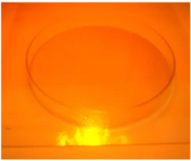 Abbildung I Citronellol in PS in einer Petrischale unter einem Halogenstrahler. 
