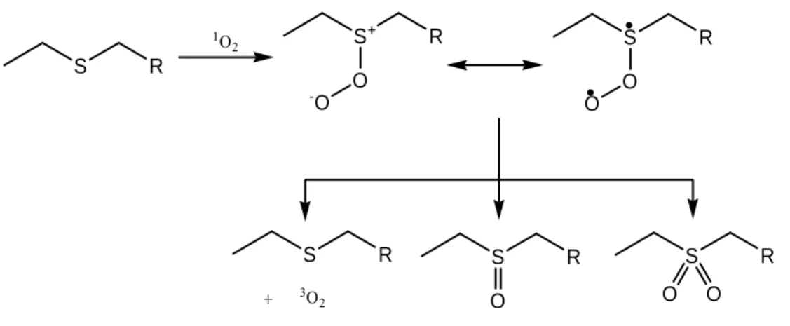Abbildung 2.3 Schematische Darstellung des Einflusses des freien Volumens innerhalb der Kavität auf  die Produktverteilung