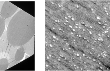 Abbildung 4.4 Elektronenmikroskopieaufnahmen der PS-Beads (mit CH 2 Cl 2  gewaschen) eingebettet in  Spurr