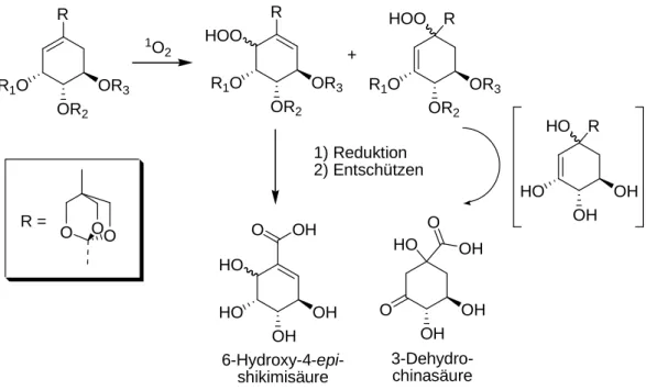 Abbildung 51: Mögliche Produkte der Oxygenierung von OBO-Shikimisäure 