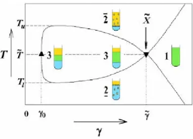 Abbildung 12  Schematischer T(γ)-Schnitt des Systems Wasser-Öl-Tensid bei konstantem α 