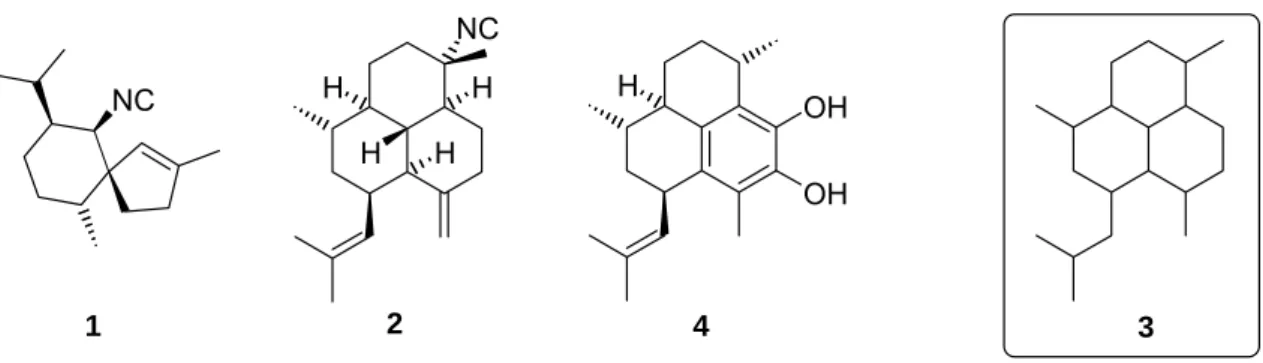 Abb. 1.1: Axisonitril-3, Diterpen-Isocyanid, Peudopterosin A-F (Aglycon) und Amphilectan-Struktur