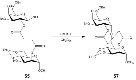 Tabelle 11: Intramolekulare Glykosylierung der Verbindung 55 