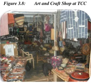 Figure 3.8:  Art and Craft Shop at TCC 