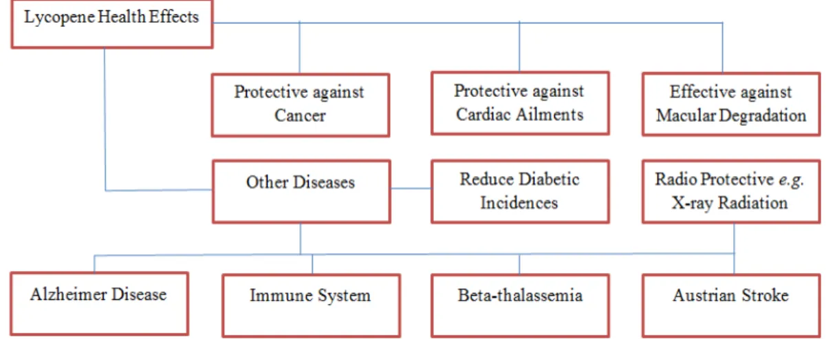 Figure 3: Health benefits of lycopene 