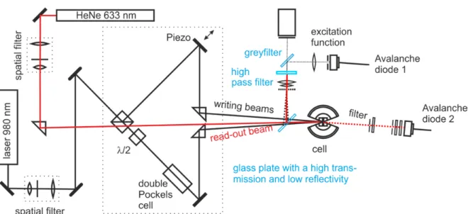 Figure 1.5: Sketch of the IR-TDFRS setup. The writing beams (980 nm) are black, the read-out beam (633 nm) is red.