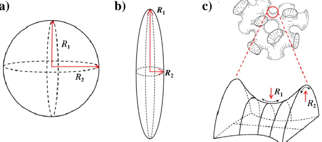 Figure 2.5: Principal curvature of a spherical (a) and a cylindrical (b) membrane and the membrane in a sponge  structure, together with the curvature radii R i 