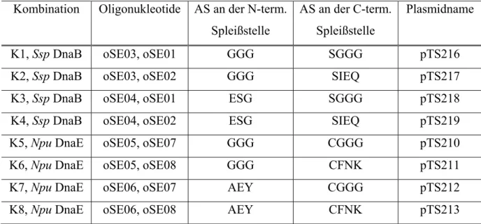 Tabelle 3 Generierte Integrationsplasmide der Ssp DnaB- und Npu DnaE-Inteinkassetten in das  Beispielgen ST-gpD-Trx-H 6 
