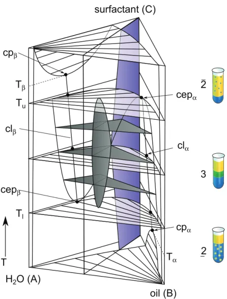 Figure 2.3.: Typical phase prism of a microemulsion system consisting of water (A), oil (B) and surfactant (C)