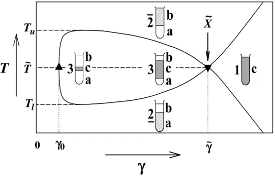 Abb. 2.3: Schematische Darstellung eines T(γ)-Schnitts, aus 9 . Eingezeichnet sind die Temperaturen T u  und T l ,  die das Dreiphasengebiet begrenzen, der  X~