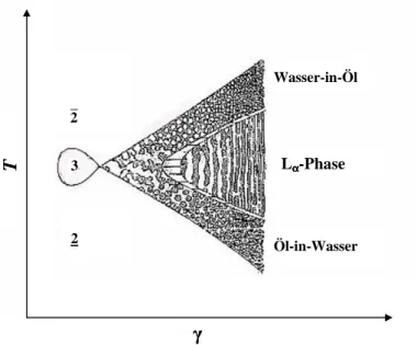 Abb.  2.15:  Schematischer  T(γ)-Schnitt  durch  das  Phasenprisma  eines  Systems  H 2 O  -  Öl  -  nichtionisches  Tensid