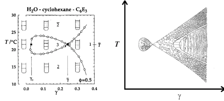 Abb.   2.3:  Links:  Fisch-Diagramm   mit   den   Abbildungen   der   Phasenzustände.   Die   grau   markierten   Phasen   sind   nanostrukturiert  [55]