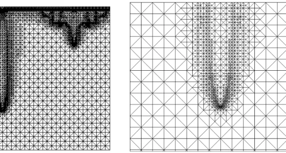 Figure 2: Typical mesh with zoom in (right).
