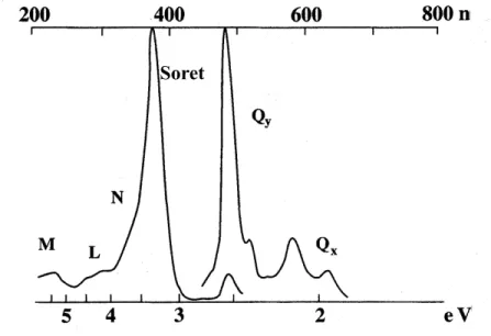 Abbildung 3.3: UV/Vis-Spektrum des Porphyrins als Beispiel f¨ur ein typisches Spektrum por- por-phyrinoider Molek¨ule