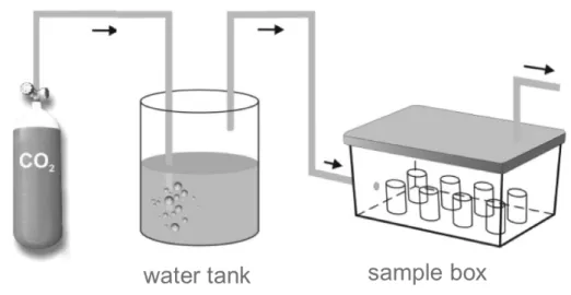 Figure 2. Experimental set-up of the CO 2  treatment 