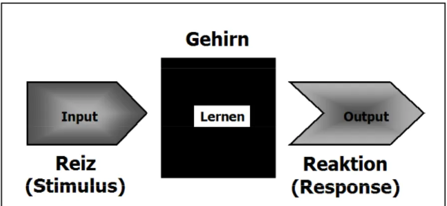 Abb. 4: Behavioristisches Lernschema - Black Box Modell 19