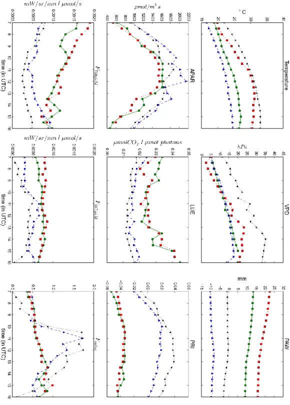 Figure 14: Diurnal evolution of absorbed photosynthetically active radiation (APAR), temperature, plant available  water (PAW), light use efficiency (LUE), Photochemical Reflectance Indices (PRI), fluorescence yield in the O 2 A-  and O 2 B-Band (F 760yiel