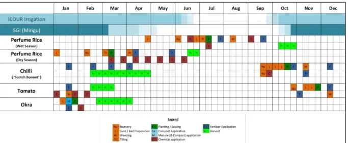 Figure 8: Cropping calendar for major irrigated crops in Bui and Mirigu (own figure, 2013, own  FGDs, 2012/’13)