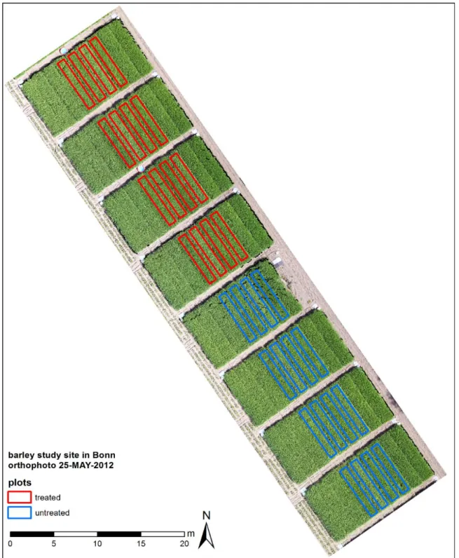 Figure 2-4: Barley study site in Bonn, orthophoto 25 May 2012 and plots treated and untreated with fungicide