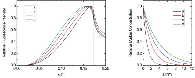 Figure 2.10: Calculated examples of XSW-excited fluorescence intensity curves (left) with the corresponding marker distribution profiles (right)