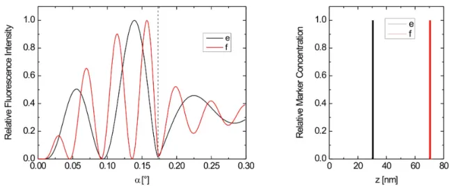 Figure 2.11: Calculated examples of XSW-excited fluorescence intensity curves (left) with the corresponding marker distribution profiles (right)