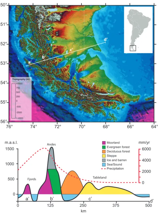 Figure 2.  (Above) Topographic map based on a digital elevation model (SRTM, 30 arc-sec resolution; 90m) of  Southern Patagonia territories (50°-56°S) and, (Below) schematic transect along the west-east axis (white line on the  upper figure) denoting the p