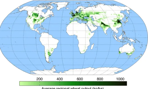 Fig. 2.1  Geographical extent of wheat production in the 2000. The map was compiled by the University of  Minnesota Institute on the Environment based on provided data by M ONFREDA  et al