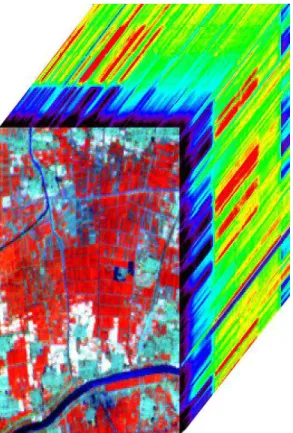 Figure 2-1: Hyperspectral image cube of EO-1 Hyperion extracted over the study site  in Huimin County
