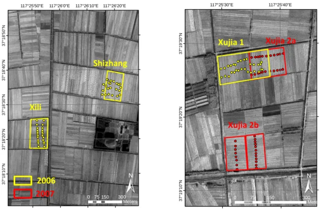 Figure 3-4: Farming fields in Huimin County with measurement points.  
