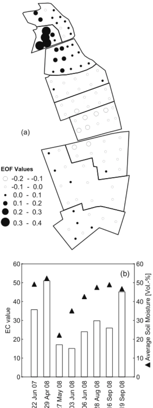 Fig. 5. EOF1 (a) and EC1 (b) patterns of the spatial analysis in the grassland test site; the triangles in (b) represent the average soil moisture on the different days.