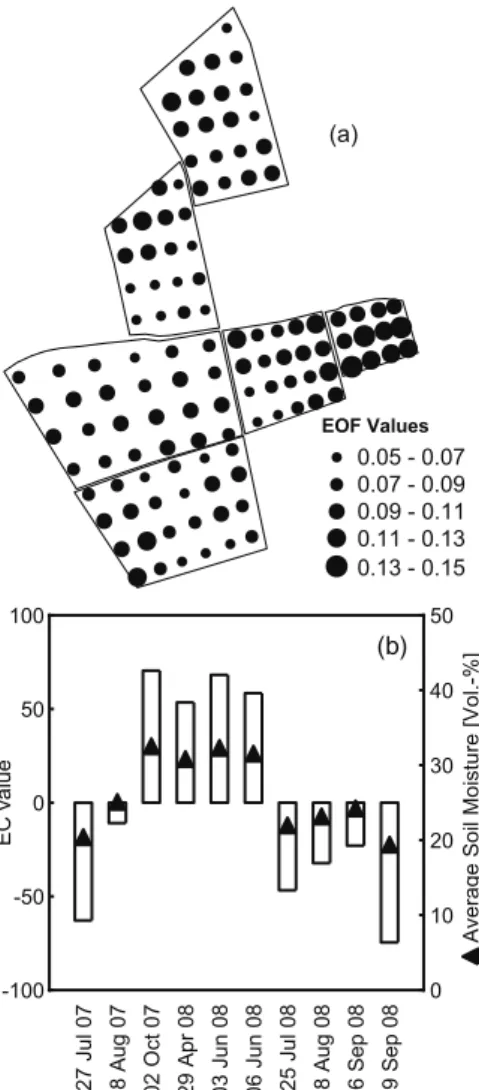 Fig. 9. EOF1 (a) and EC1 (b) patterns of the temporal analysis in the arable test site; the triangles in (b) represent the average soil moisture on the different days.
