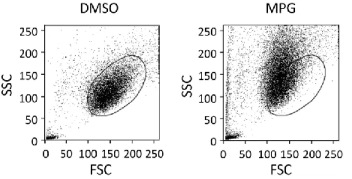 Abbildung 16: Cytogramme DMSO (0,5%) und MPG (5 µM, 0,5% DMSO) behandelter HeLa-Zellen