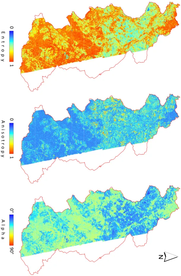 Figure 5.3: Polarimetric entropy (left), anisotropy (middle), and alpha angle maps (right) of the River  Rur catchment